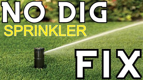 leaking sprinkler head when off|How to fix a leaking sprinkler head